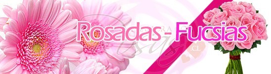 Rosadas / Fucsias
