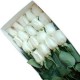 Caja con 18 Rosas Blancas Ecuatorianas a Domicilio