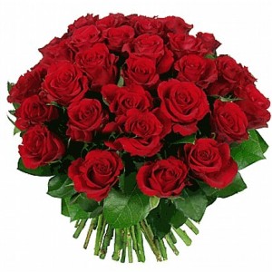 Ramo 25 Rosas Rojas Flores Dia de la Madre