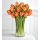 20 Tulipanes Naranjos en Florero - Flores a Domicilio
