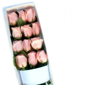 Flores a Domicilio Caja con 12 Rosas Rosadas