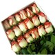 Caja con 18 Rosas Bicolor Ecuatorianas - Flores a Domicilio
