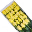 Caja 25 Rosas Amarillas - Flores a Domicilio Santiago