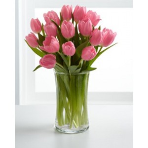 Florero 20 Tulipanes Rosado / Fucsia a Domicilio - Enamora con Rosas .CL  Flores a Domicilio, Floreria Santiago