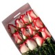 Flores a Domicilio - Fina Caja con 12 Rosas Bicolor Blanco y Rojo Ecuatorianas 